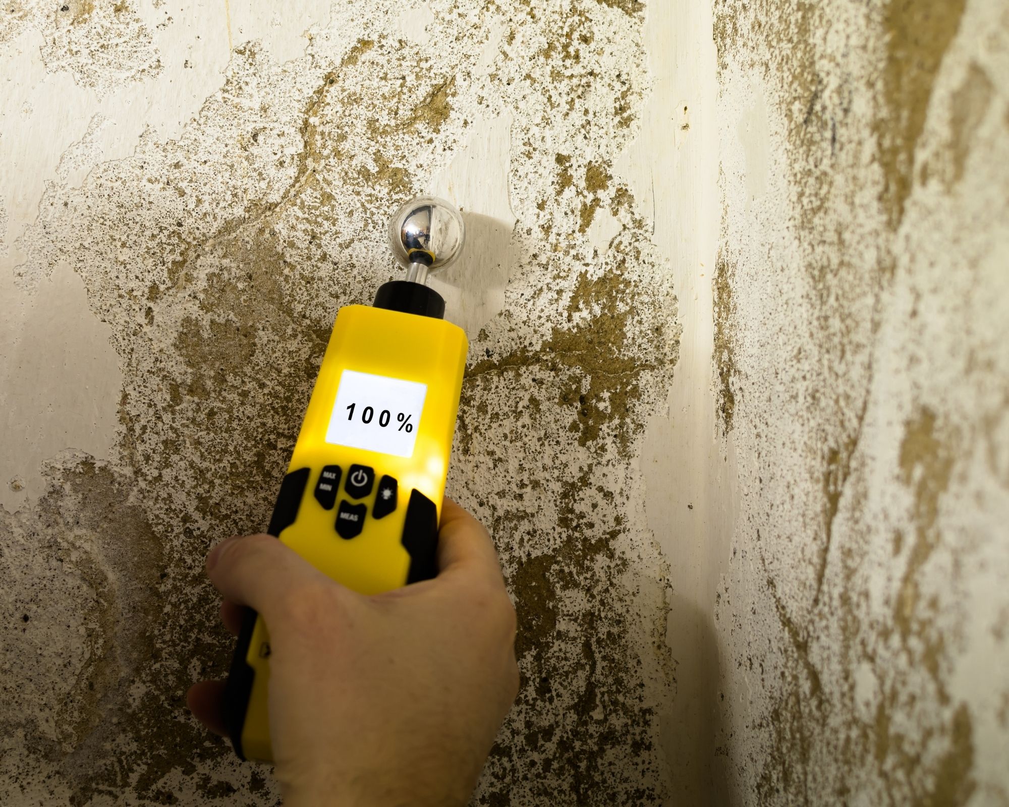 Expertise humidité nord 59 expertise humidité