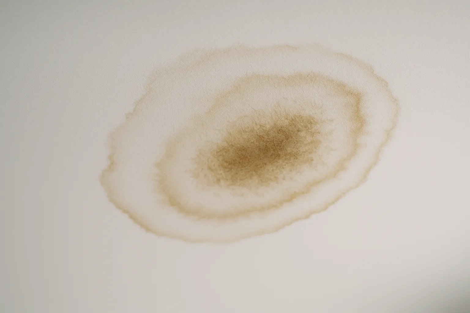 Aureole d infiltration aux contours marques sur un plafond
